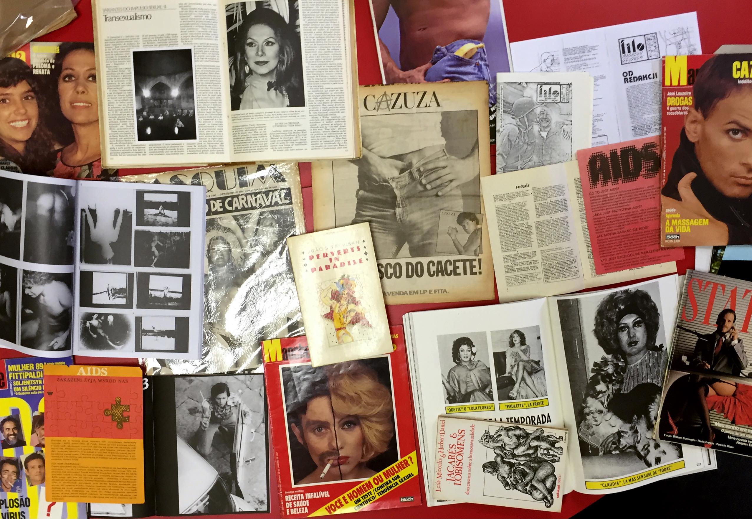  queer archives institute research materials
