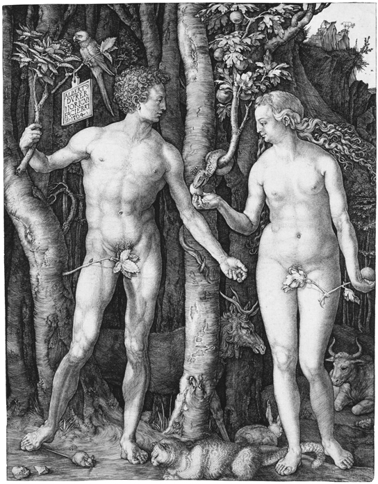 Adam eva, durer, 1504